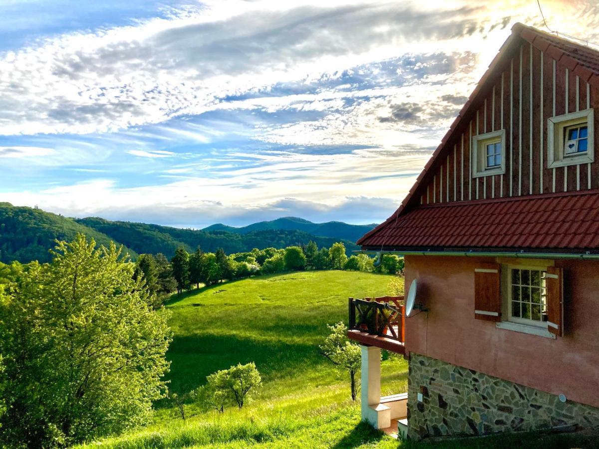 Kopanicky Dvor Guest House Hodrusa Exterior photo